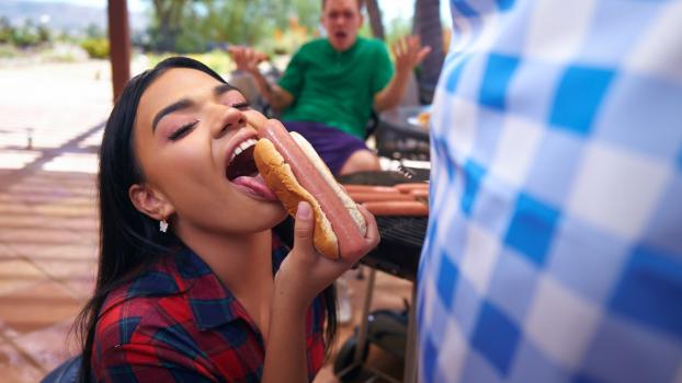 Dilfed – Summer Col - Hot Dickity Dog
